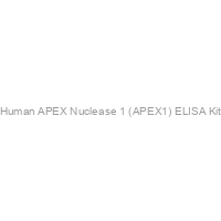 Human APEX Nuclease 1 (APEX1) ELISA Kit